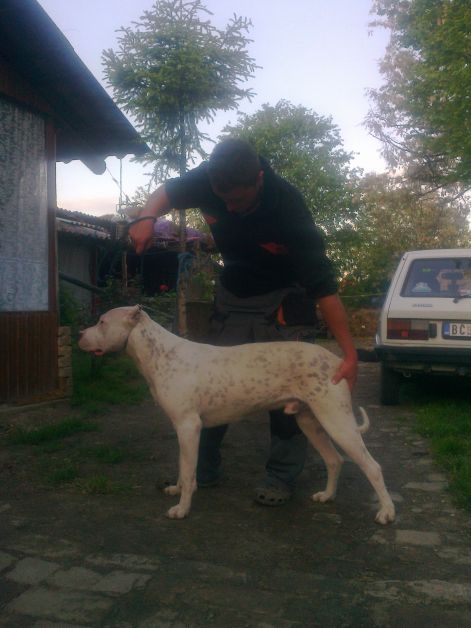 fenykep0161.jpg